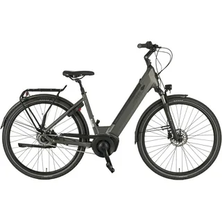 Prophete Geniesser 3.0 28 Zoll RH 48 cm Grau