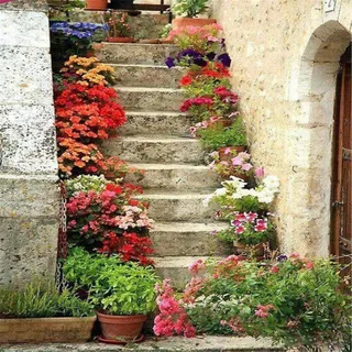 Yingxin34 Jigsaw Puzzle 5000 Teile, Blumen auf der Treppe 5000 Stück Puzzles für Erwachsene Kinder Freunde, Intellektuelles Gedankenspiel-61.61x41.53 Zoll (156.5 x 105.5cm)