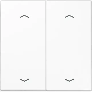 Jung Taster LS 995 MP WW