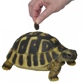 dazikemo Gartenfigur Spardose Sparschwein große Schildkröte