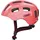 52-57 cm Kinder living coral 2021