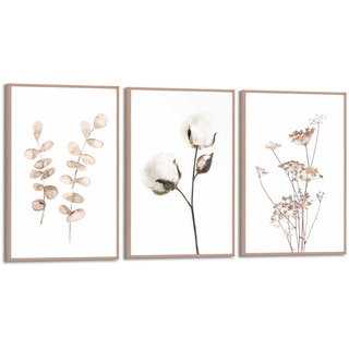 Bilder-Set BOTANIC NATURAL - beige