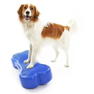 None K9FITbone Himmelblau