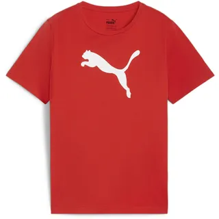 Puma Teamrise Logo Jersey Cotton Jr Tees