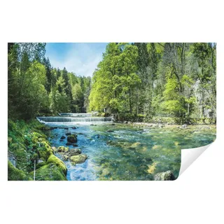 WallArena Fototapete Wald in Grün | Gr.: 150 x 105 cm