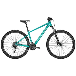 Focus Whistler 3.6 2023 29 Zoll RH 42 cm blue green