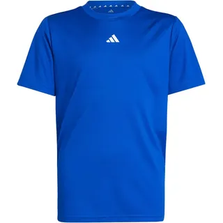 adidas Train Essentials Logo Regular Fit T-Shirt Kinder - royblu/