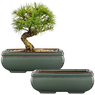 Bonsai-Töpfe aus Keramik mit Ablaufloch, 2er-Set, grün glasierte Bonsai-Pflanzgefäße für den Innen- und Außenbereich, rechteckiger flacher Bonzai-Baumtopf für Sukkulenten, Orchideen, Kakteen, Haus