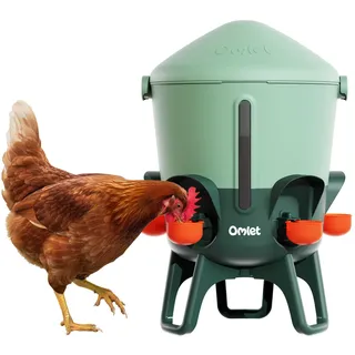 Omlet Isolierter Wasserspender für Hühner 11 Liter | Automatische Geflügeltränke | Sauberes Trinkwasser | BPA-frei | Anti-Sitzkuppel | Schalen und Trinknippel inbegriffen | Salbeigrün