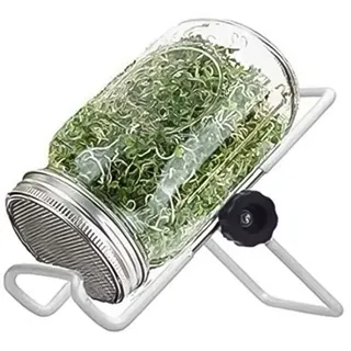 Pastoralist Masongläser Sprouting Kit Keimungssamen -Sprouter -Set mit Abdeckständer zum Anbau von Brokkoli Alfalfa -Bohnensprossen 1000ml, Sprouting Kit