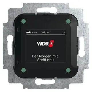 Busch-Jaeger Busch-Radio DAB+ 8215 U-101