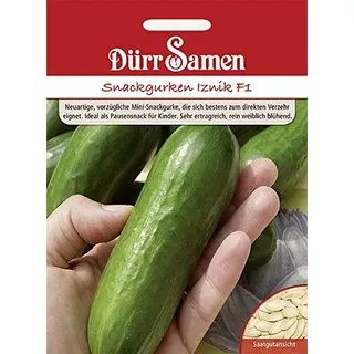 Dürr-Samen - Snackgurke Iznik F1 Saatgut