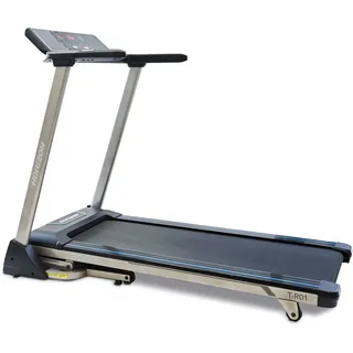 Horizon Fitness T-R01
