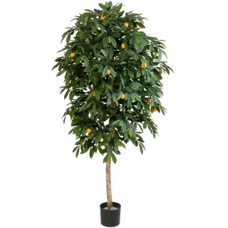 aplanta Künstlicher Orangenbaum - Pius | cm
