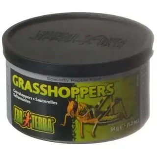 Exo Terra Heuschrecken 34g