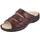 bordo 41