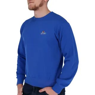 Fruit of the Loom Fruit of the Loom Sweatshirt mit kleinem Vintage-Logo, Blau (Royal 51), L