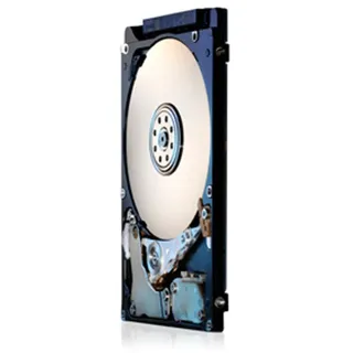 HGST Travelstar Festplatte - 2,5" Intern - 320 GB - SATA (SATA/300) - 7200U/Min