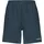 Head Club Herren Shorts blau