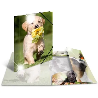 Herma Sammelmappe Tiere A4 hunde