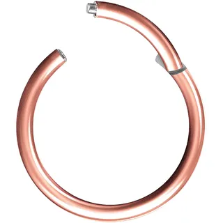 Piercingfaktor Universal Titan G23 Piercing Scharnier Clicker Ring Septum für Tragus Helix Ohr Nase Lippe Brust Intim Nippel Augenbrauen