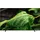 GQ65Q7F 65" QLED 4K Vision AI Smart TV Q7F