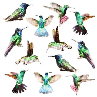 12 Pcs Fliegengitter Magnete für Vogelschlag-Schutz, Fliegengitter Fenster Magnete Set, DekorativeKühlschrankmagnete Fliegengitter, Magnetische Fliegengitter Aufkleber Packung