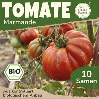 BIO Tomate Samen Marmande 10 Tomatensamen Gemüsesamen Samenfest für Gemüsegarten Gemüse Saatgut Balkon und Garten