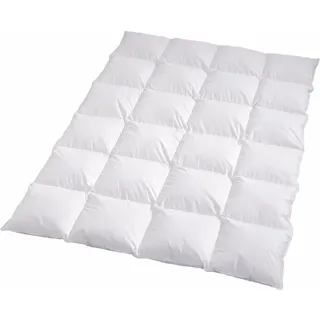 Traumschlaf Daunendecke Arktis warm, Füllung: 90% Daunen, 10% Federn 155x220 cm