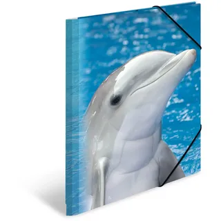 Sammelmappen DIN A4 Delfine, 3 St.