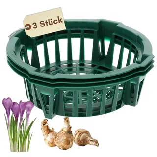 GarPet Pflanzschale Pflanzkörbe für Blumenzwiebeln Pflanzkorb Blumenzwiebel Tulpenzwiebel Ø 22 cm