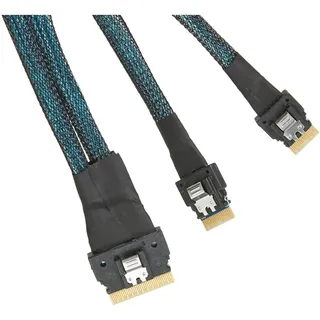 Intel CPU to HSBP Kit SlimSas Schwarz