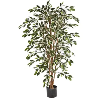aplanta Künstlicher Chinesischer Ficus - Ivan | 150 cm,