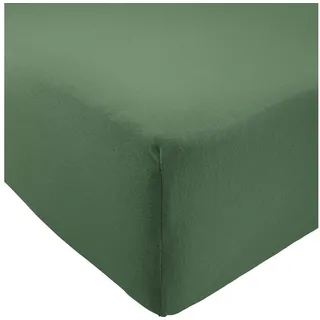 REDBEST Spannbettlaken Jersey-Baumwolle-Polyester 90 x 190 - 100 x 200 cm grün