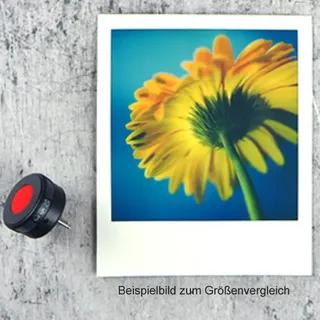 MiNt Self(ie) Timer (SX70/SLR670/SLR680)