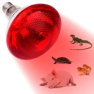 Weciau Reptilien Wärmelampe, 250W Rotlichtlampe, Reptilien Rotlichtlampe Birne, Wärmespotlampe, Wärmelampe Tiere für Hühner, Hunde, Schweine, Vivarium