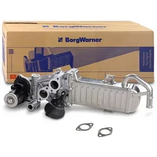 BorgWarner (Wahler) Borgwarner AGR-Modul OE-Version/Erstausrüstung 710861D