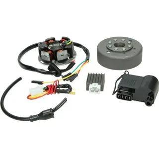 Standard Parts Zündung komplett Digital 12V CDI Kokusan Nachbau für Kreidler/Sachs/Zündapp DMP