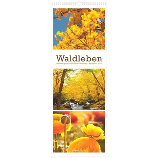 ALPHA EDITION GmbH & Co. KG Waldleben - Triplets 2027