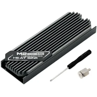 PRIZOM Kühlkörper, ultradünn, M.2 SSD M2 2280, Halbleiter-Festplatte, Kühlung, Thermokissen, Silikon, HEAT_SINK, Chassismontage, 00317411A2, 73 x 24.4 x 9.6 mm