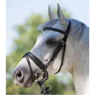 Kieffer Trensenzaum Ultrasoft® Economy II