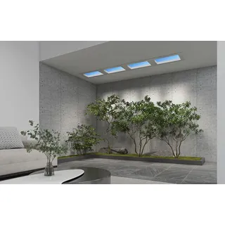 Xiaomi Yeelight Pro Dachleuchte P21 Dachleuchte P1