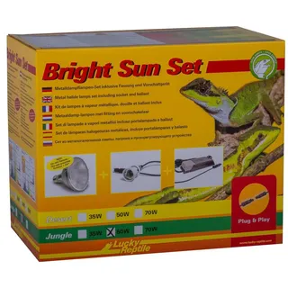Lucky Reptile Bright Sun Set Jungle