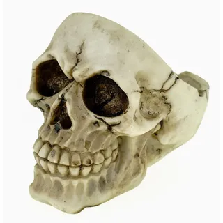 Joh. Vogler GmbH Vogler Schädel Aschenbecher 12cm - Totenkopf Ascher aus Kunststein - Gothic Deko Figur - Mehrfarbiger Totenschädel - Halloween Dekoration - Geschenkidee