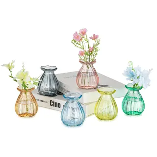 Hewory Kleine Vasen für Tischdeko Esstisch: 6er Mini Vasen Set Kleine Glasvasen Set für Hochzeitsdeko Tisch - Cute Deko Vase Bunt Blumenvase Glas für Kawaii Deko Wohnzimmer Home