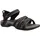black/grey 36