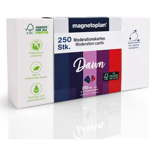 Magnetoplan Moderationskarten Dawn farbsortiert 20,0 x 10,0 cm, 250 St.