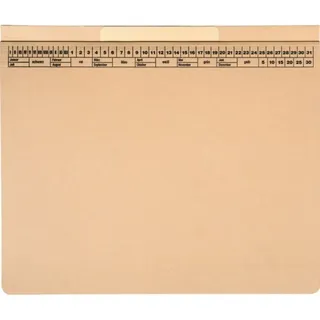 Soldan Hängehefter CLASSIC PLUS 7100913 chamois