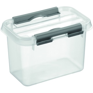 0,8 Liter, mit Deckel, transparent