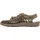 timberwolf/plaza taupe 41